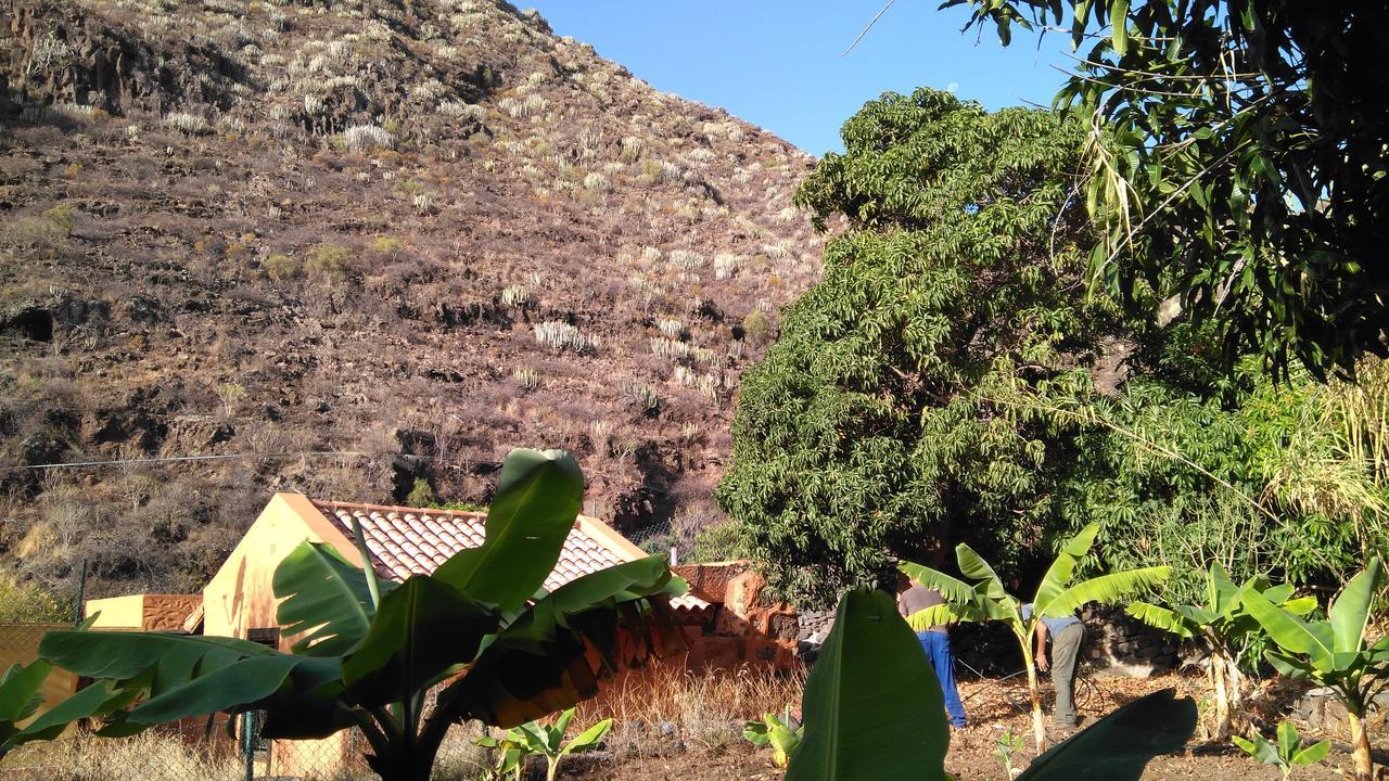 Casa Dos Barrancos Guest House ซานตาครูซ เด เตเนริเฟ ภายนอก รูปภาพ